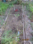 Poireaux2010-2-50.jpg