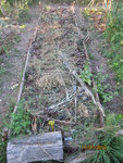 Poireaux2010-3-50.jpg