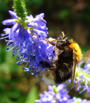 2008_08030062.jpg