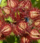 2008_08030082.jpg