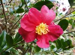DSC04017.JPG