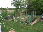 Potager 1.JPG