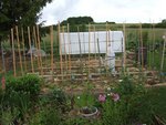potager 2.JPG
