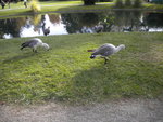 DSCN1604.JPG