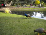 DSCN1606.JPG