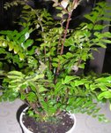 DSCN2594.JPG