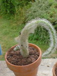 DSC00272.JPG