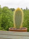 DSC00253.JPG