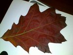 01112010038.jpg
