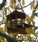 DSC00339.JPG