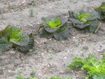 DSCN1626.JPG