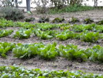 DSCN1627.JPG