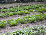 DSCN1628.JPG