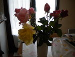 DSCN1620.JPG