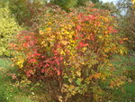 octobre 2010 345.jpg