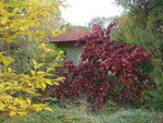 octobre 2010 332.jpg