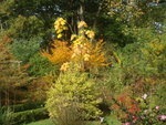 octobre 2010 343.jpg