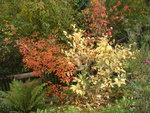 octobre 2010 349.jpg