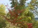 octobre 2010 347.jpg