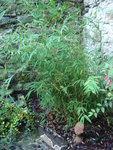 DSC02864.JPG