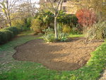 novembre 2009 110.jpg