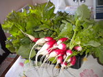 DSCN1638.JPG