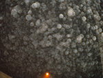 DSCN1634.JPG