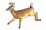 090926080429653095[1].gif