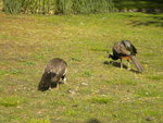 DSCN1603.JPG