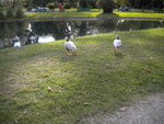 DSCN1605.JPG