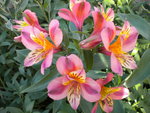 DSCN1577.JPG