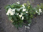 DSCN1574.JPG