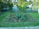 potager 003.jpg