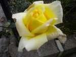 DSCN1641.JPG
