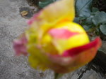 DSCN1642.JPG