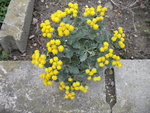 DSCN1647.JPG