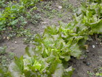 DSCN1644.JPG