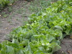 DSCN1643.JPG