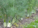 DSCN1646.JPG