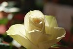 DSC01901.JPG