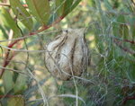 Copie de DSC08277.jpg