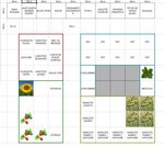 plan2011.jpg