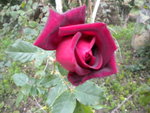 DSCN1640.JPG