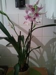 Ma Beallora Peggy Ruth :)