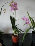 Photo 055.jpg