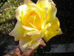 DSCN1639.JPG