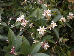 DSCN0229.JPG