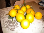 DSCN0310.JPG