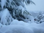 01 décembre 2010.jpg