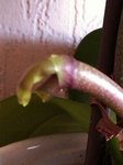 IMG_0087.JPG